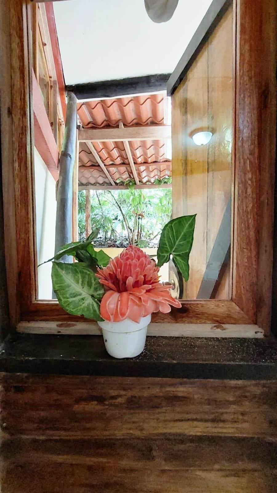 Se Ua Bed and Breakfast Manzanillo  Εξωτερικό φωτογραφία