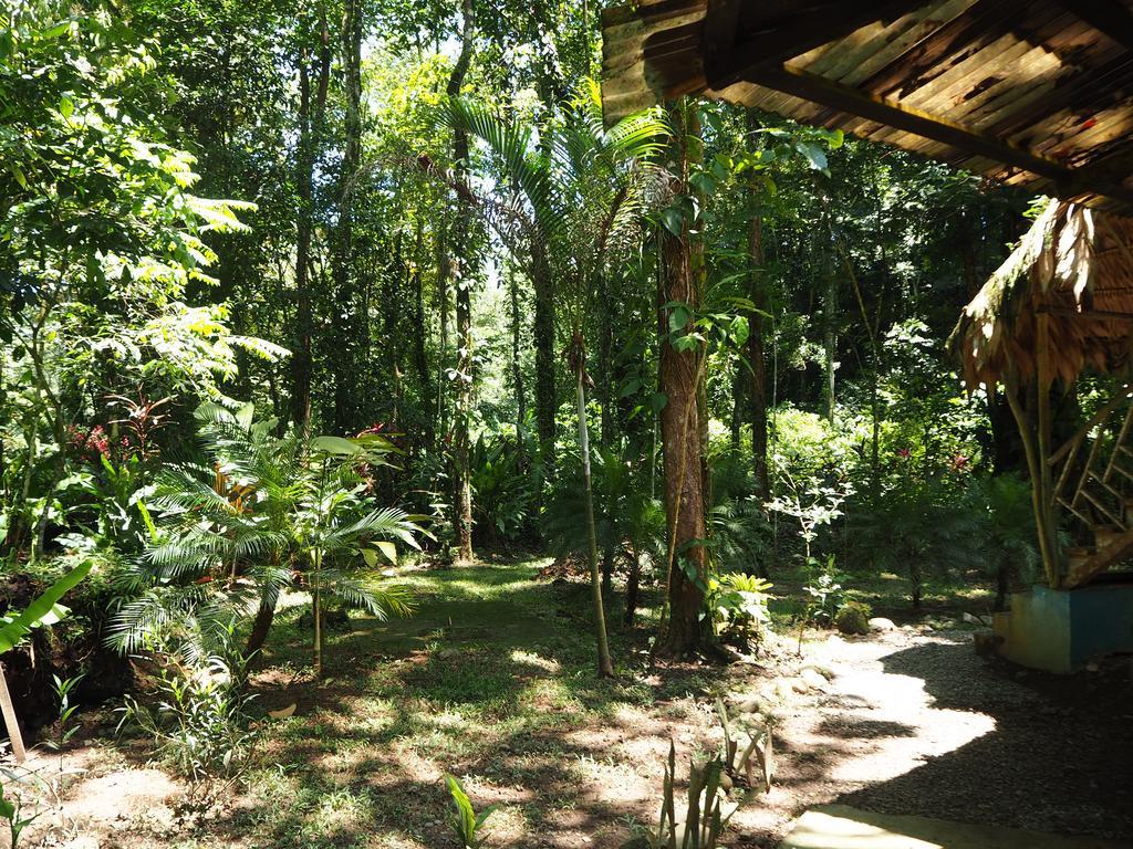 Se Ua Bed and Breakfast Manzanillo  Εξωτερικό φωτογραφία